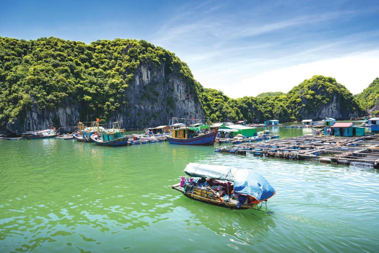 Sena Cruises - Wonder On Lan Ha Bay Hotel ฮาลอง ภายนอก รูปภาพ